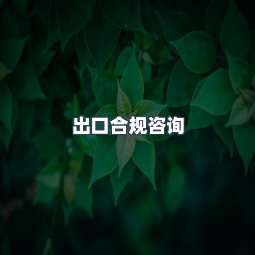 服务优势